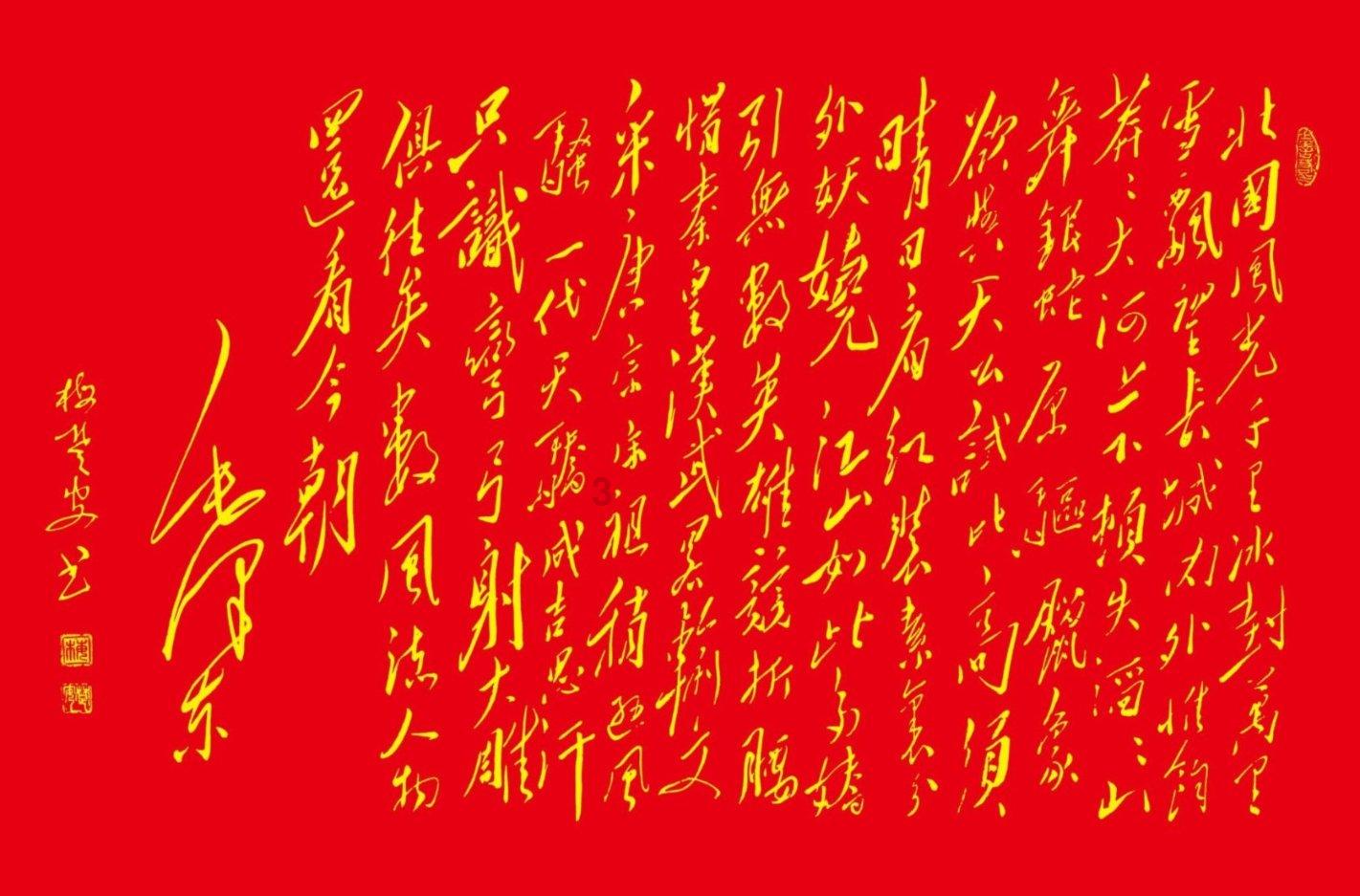 救援海盗章鱼