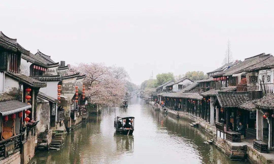 拉丝麻薯为什么一定要拉丝粉?游戏画面